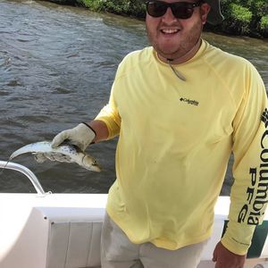 Meet your Posher, Ben